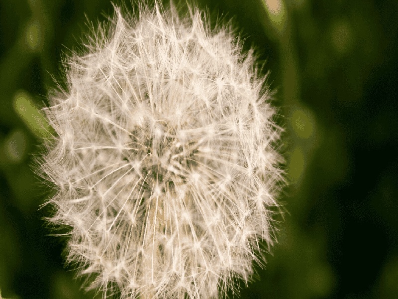 单料试管规格,男人检查精子费用